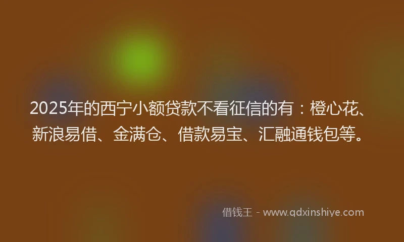 2025年的西宁小额贷款不看征信的有：橙心花、新浪易借、金满仓、借款易宝、汇融通钱包等。