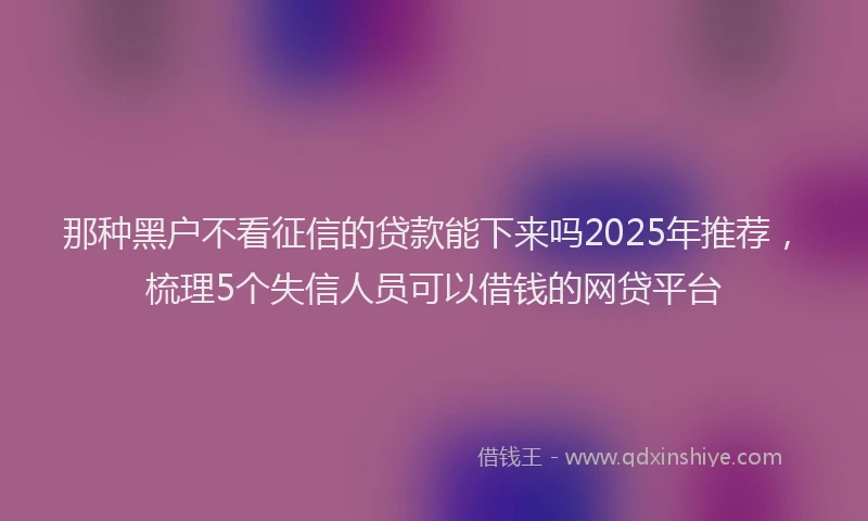 那种黑户不看征信的贷款能下来吗2025年推荐，梳理5个失信人员可以借钱的网贷平台