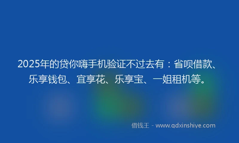 2025年的贷你嗨手机验证不过去有：省呗借款、乐享钱包、宜享花、乐享宝、一姐租机等。