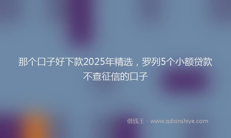 那个口子好下款2025年精选，罗列5个小额贷款不查征信的口子