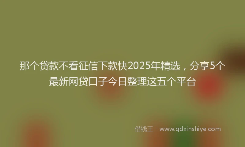 那个贷款不看征信下款快2025年精选，分享5个最新网贷口子今日整理这五个平台