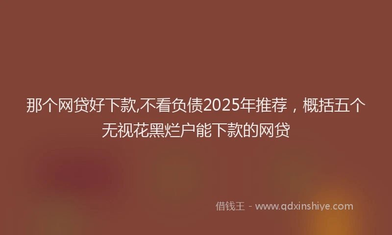 那个网贷好下款,不看负债2025年推荐，概括五个无视花黑烂户能下款的网贷
