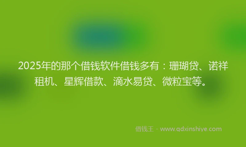 2025年的那个借钱软件借钱多有：珊瑚贷、诺祥租机、星辉借款、滴水易贷、微粒宝等。