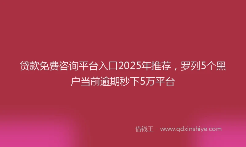贷款免费咨询平台入口2025年推荐，罗列5个黑户当前逾期秒下5万平台
