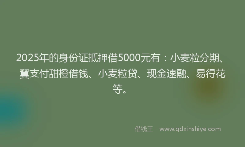 2025年的身份证抵押借5000元有：小麦粒分期、翼支付甜橙借钱、小麦粒贷、现金速融、易得花等。