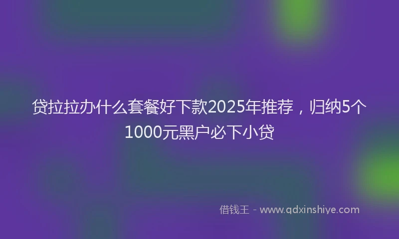 贷拉拉办什么套餐好下款2025年推荐，归纳5个1000元黑户必下小贷