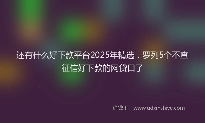 还有什么好下款平台2025年精选，罗列5个不查征信好下款的网贷口子