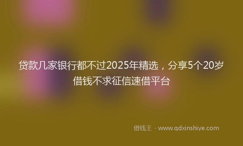 贷款几家银行都不过2025年精选，分享5个20岁借钱不求征信速借平台