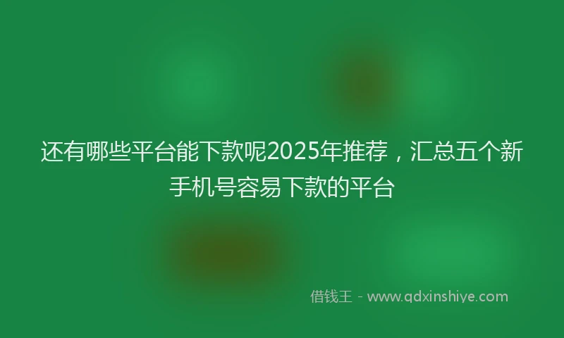 还有哪些平台能下款呢2025年推荐，汇总五个新手机号容易下款的平台