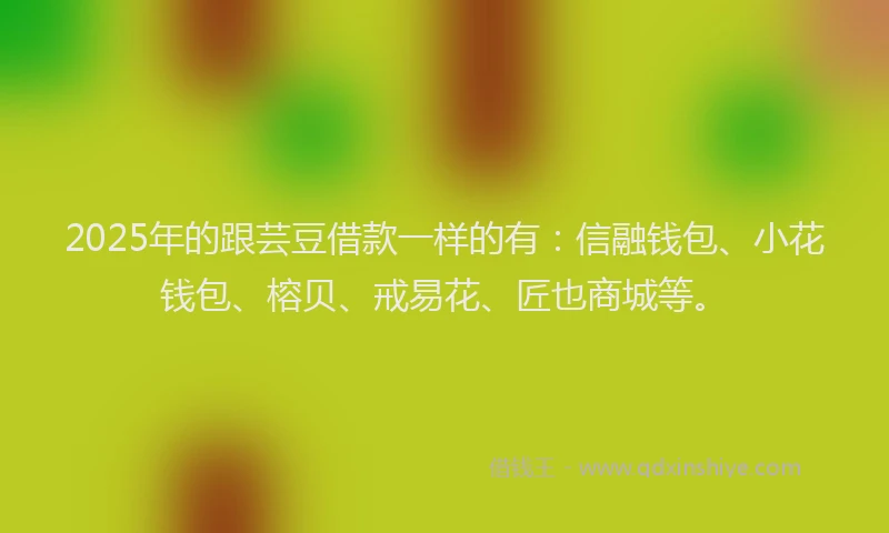 2025年的跟芸豆借款一样的有：信融钱包、小花钱包、榕贝、戒易花、匠也商城等。