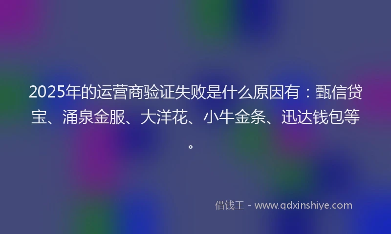 2025年的运营商验证失败是什么原因有：甄信贷宝、涌泉金服、大洋花、小牛金条、迅达钱包等。