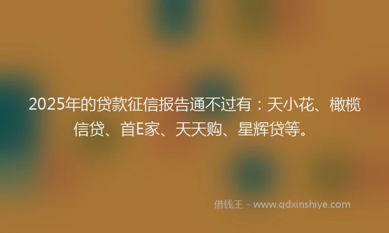 2025年的贷款征信报告通不过有：天小花、橄榄信贷、首E家、天天购、星辉贷等。