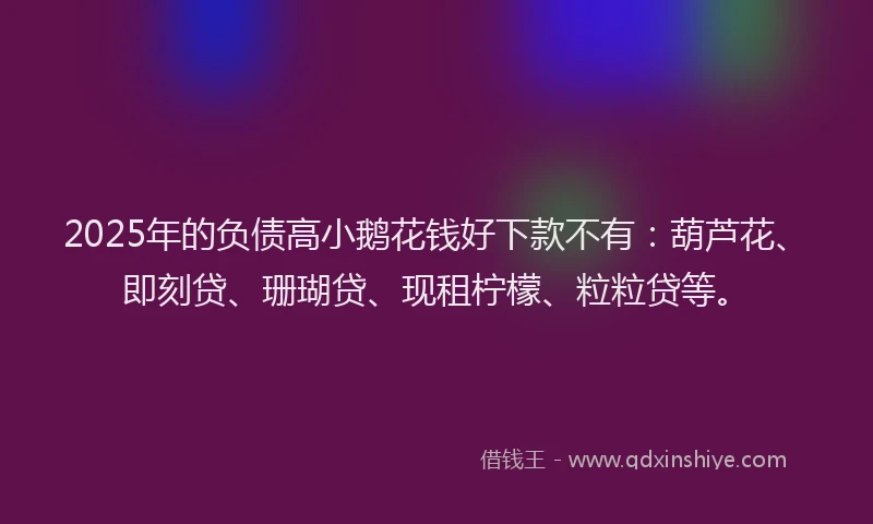2025年的负债高小鹅花钱好下款不有：葫芦花、即刻贷、珊瑚贷、现租柠檬、粒粒贷等。