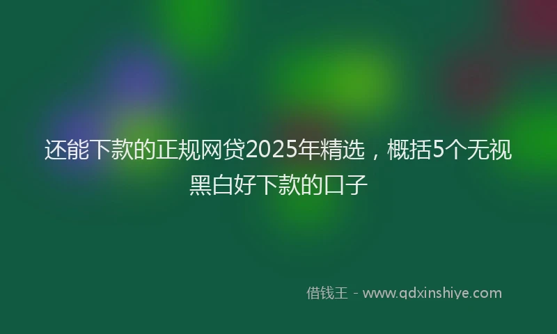 还能下款的正规网贷2025年精选，概括5个无视黑白好下款的口子