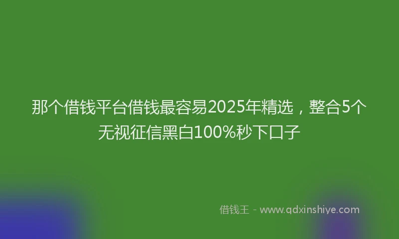 那个借钱平台借钱最容易2025年精选，整合5个无视征信黑白100%秒下口子
