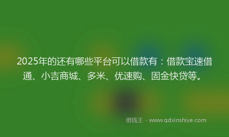 2025年的还有哪些平台可以借款有：借款宝速借通、小吉商城、多米、优速购、固金快贷等。