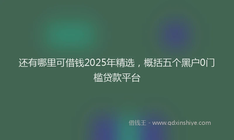 还有哪里可借钱2025年精选，概括五个黑户0门槛贷款平台