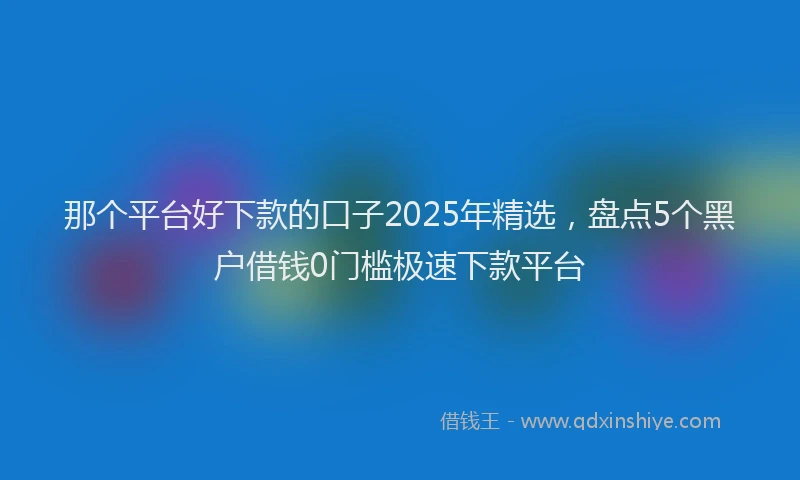 那个平台好下款的口子2025年精选，盘点5个黑户借钱0门槛极速下款平台