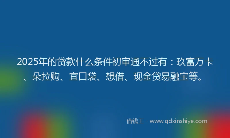 2025年的贷款什么条件初审通不过有：玖富万卡、朵拉购、宜口袋、想借、现金贷易融宝等。