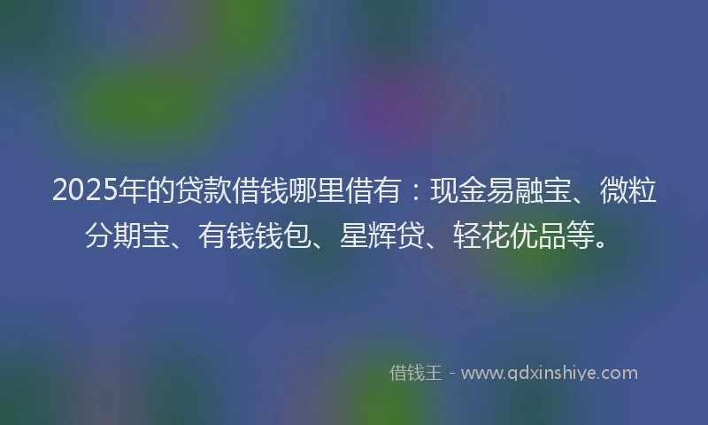 2025年的贷款借钱哪里借有：现金易融宝、微粒分期宝、有钱钱包、星辉贷、轻花优品等。