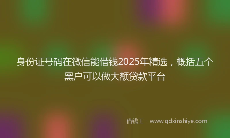 身份证号码在微信能借钱2025年精选，概括五个黑户可以做大额贷款平台