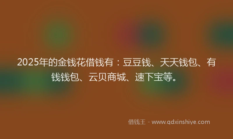 2025年的金钱花借钱有：豆豆钱、天天钱包、有钱钱包、云贝商城、速下宝等。