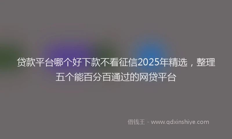 贷款平台哪个好下款不看征信2025年精选，整理五个能百分百通过的网贷平台