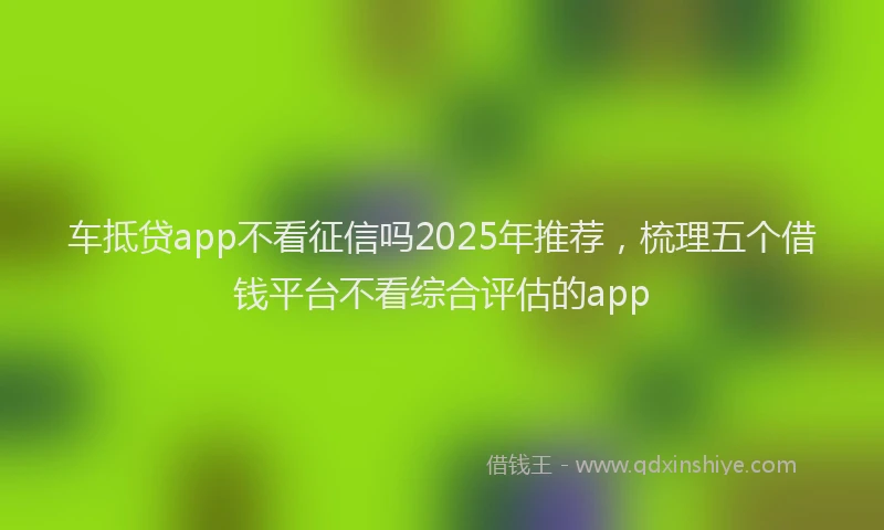 车抵贷app不看征信吗2025年推荐，梳理五个借钱平台不看综合评估的app