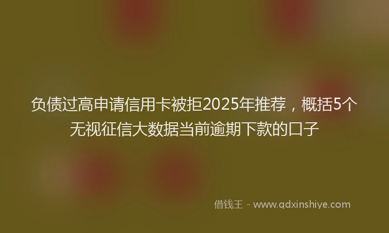 负债过高申请信用卡被拒2025年推荐，概括5个无视征信大数据当前逾期下款的口子