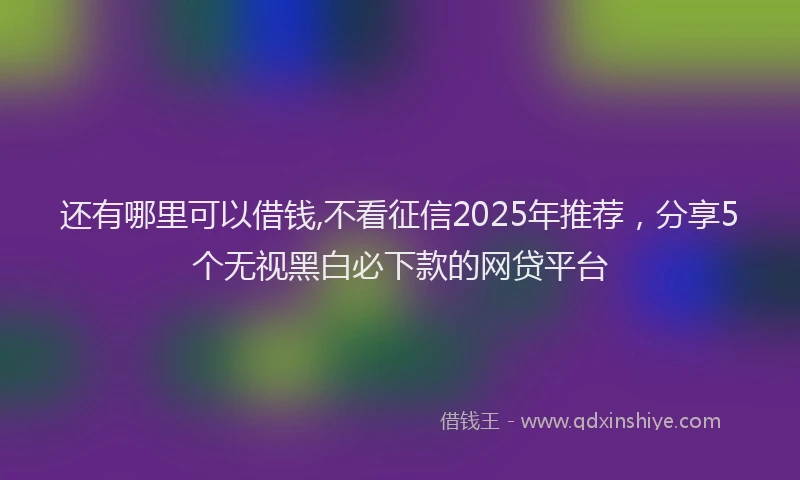 还有哪里可以借钱,不看征信2025年推荐，分享5个无视黑白必下款的网贷平台