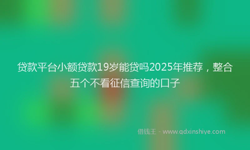 贷款平台小额贷款19岁能贷吗2025年推荐，整合五个不看征信查询的口子