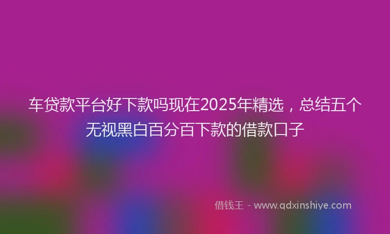 车贷款平台好下款吗现在2025年精选，总结五个无视黑白百分百下款的借款口子