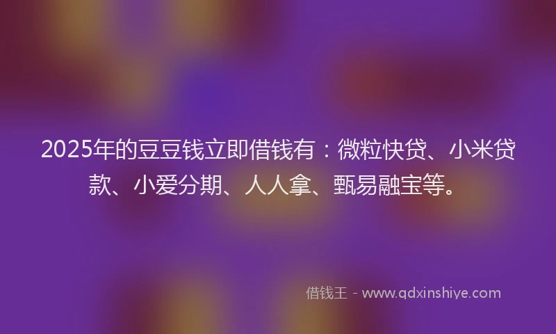 2025年的豆豆钱立即借钱有：微粒快贷、小米贷款、小爱分期、人人拿、甄易融宝等。