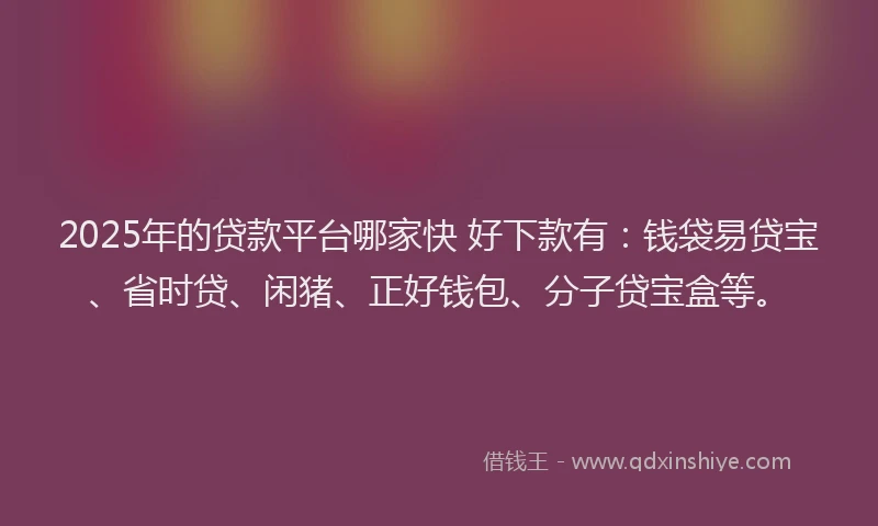 2025年的贷款平台哪家快 好下款有：钱袋易贷宝、省时贷、闲猪、正好钱包、分子贷宝盒等。