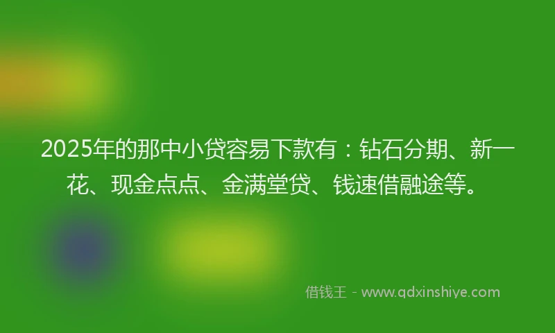 2025年的那中小贷容易下款有：钻石分期、新一花、现金点点、金满堂贷、钱速借融途等。