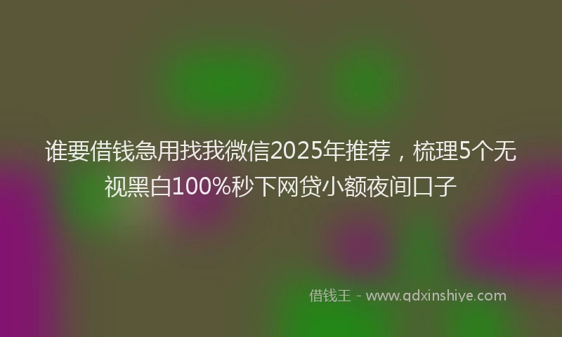 谁要借钱急用找我微信2025年推荐，梳理5个无视黑白100%秒下网贷小额夜间口子
