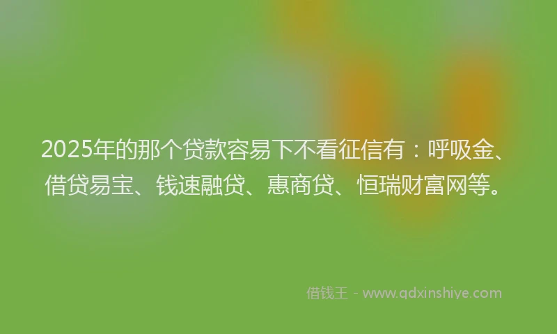 2025年的那个贷款容易下不看征信有：呼吸金、借贷易宝、钱速融贷、惠商贷、恒瑞财富网等。