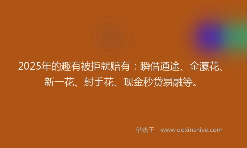 2025年的趣有被拒就赔有：瞬借通途、金瀛花、新一花、射手花、现金秒贷易融等。