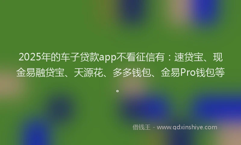 2025年的车子贷款app不看征信有：速贷宝、现金易融贷宝、天源花、多多钱包、金易Pro钱包等。