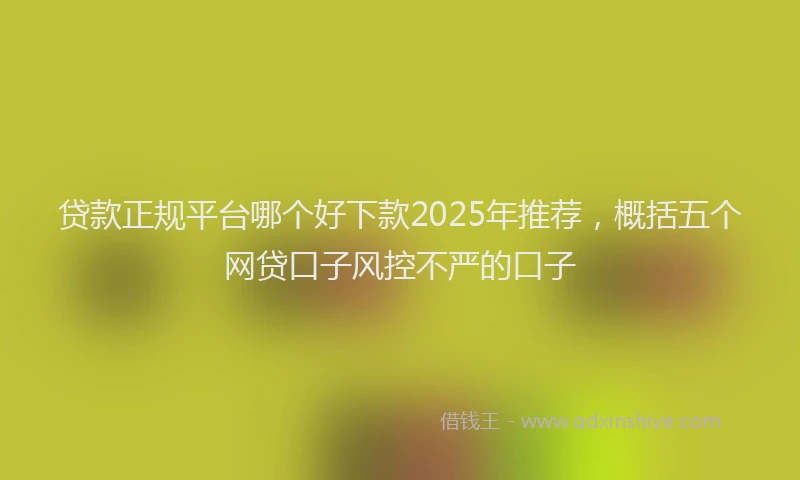 贷款正规平台哪个好下款2025年推荐，概括五个网贷口子风控不严的口子