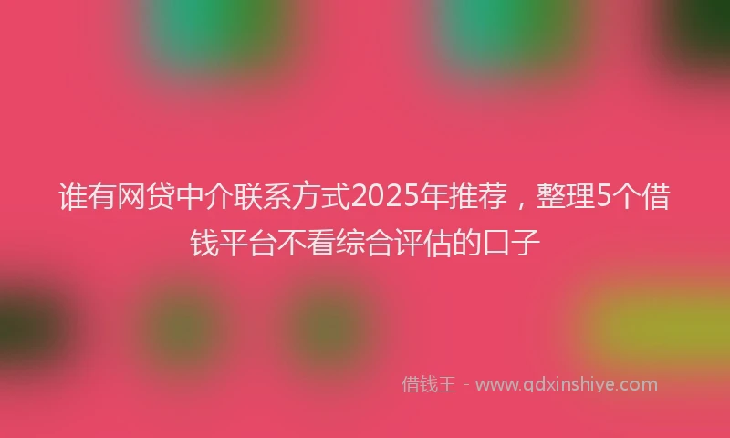 谁有网贷中介联系方式2025年推荐，整理5个借钱平台不看综合评估的口子