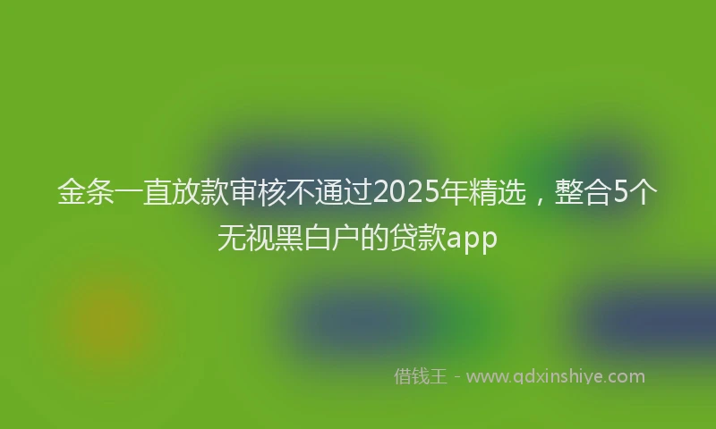 金条一直放款审核不通过2025年精选，整合5个无视黑白户的贷款app