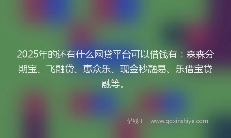 2025年的还有什么网贷平台可以借钱有：森森分期宝、飞融贷、惠众乐、现金秒融易、乐借宝贷融等。