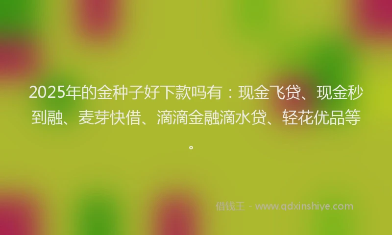 2025年的金种子好下款吗有:现金飞贷、现金秒到融、麦芽快借、滴滴金融滴水贷、轻花优品等。