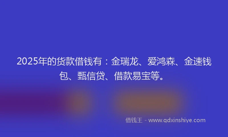 2025年的货款借钱有：金瑞龙、爱鸿森、金速钱包、甄信贷、借款易宝等。