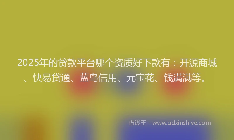 2025年的贷款平台哪个资质好下款有：开源商城、快易贷通、蓝鸟信用、元宝花、钱满满等。