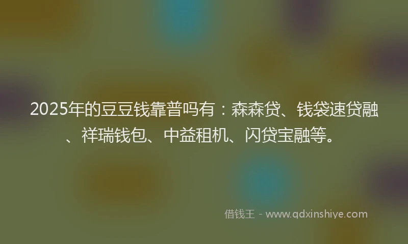 2025年的豆豆钱靠普吗有：森森贷、钱袋速贷融、祥瑞钱包、中益租机、闪贷宝融等。