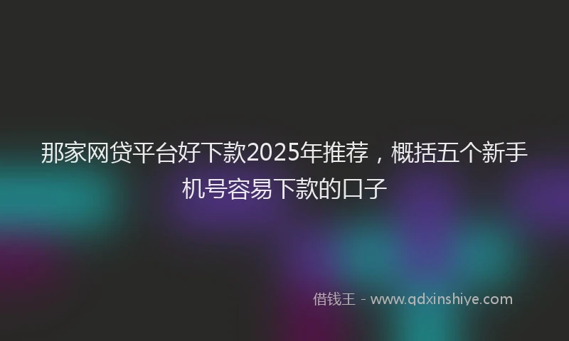 那家网贷平台好下款2025年推荐，概括五个新手机号容易下款的口子