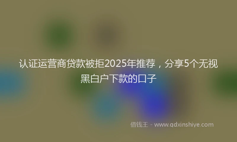 认证运营商贷款被拒2025年推荐，分享5个无视黑白户下款的口子