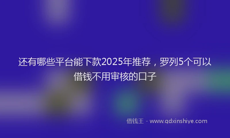 还有哪些平台能下款2025年推荐，罗列5个可以借钱不用审核的口子